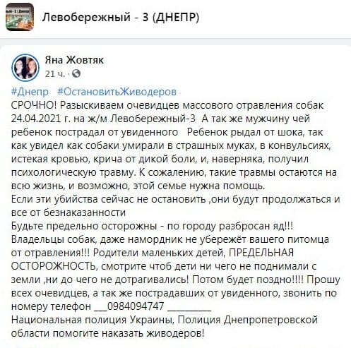 У Дніпрі масово труять собак