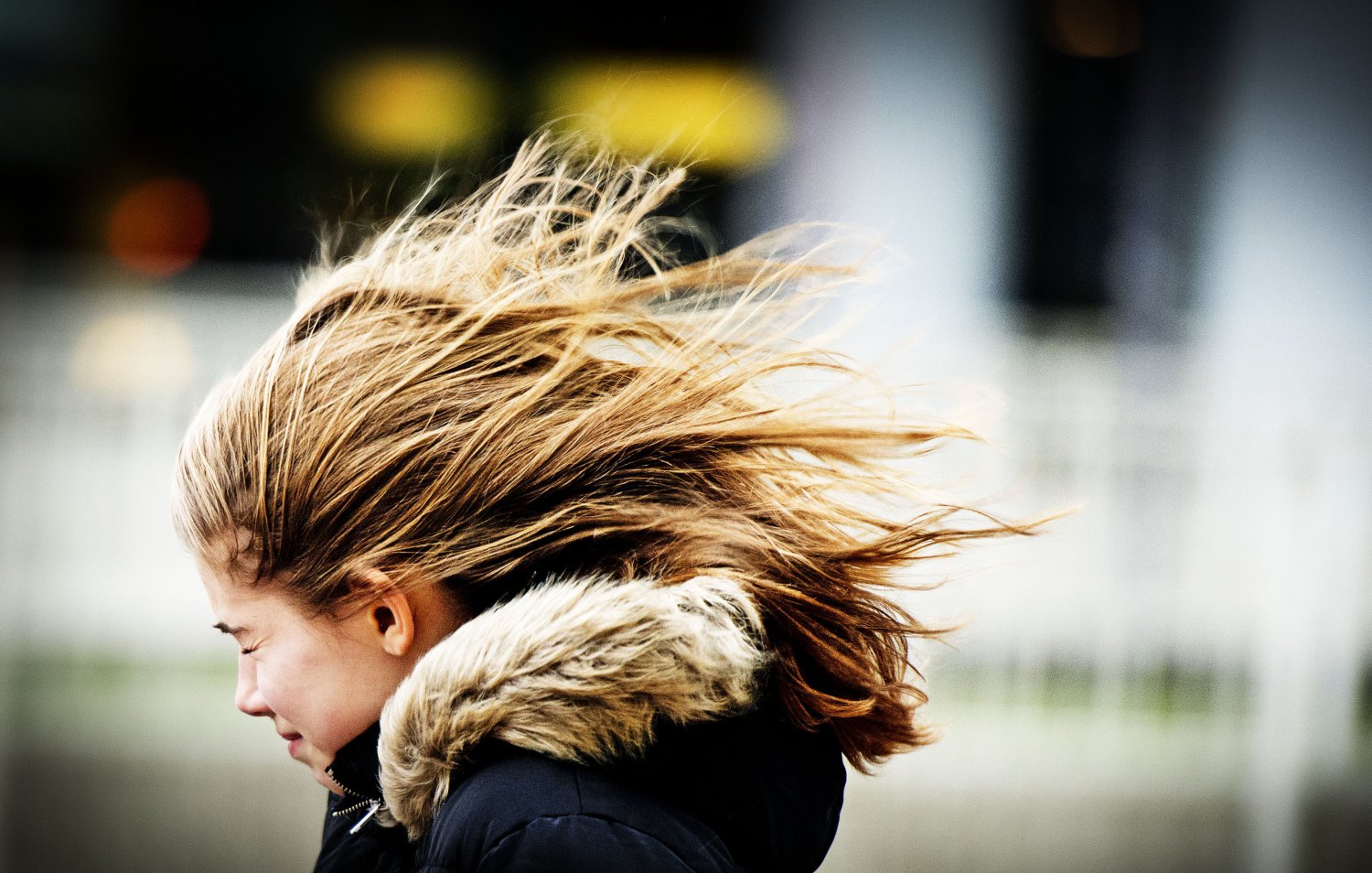 A girl struggles against the wind in Rotterdam on December 5, 2013.  Xaver, a fierce storm, battered northern Europe Thursday, leaving three people dead or missing, causing mass transport disruption and threatening the biggest tidal surge in decades. Winds of up to 142 miles (228 kilometres) per hour battered northern Britain while authorities evacuated residents and boosted flood defences in low-lying areas across the region. AFP PHOTO / ANP – ROBIN UTRECHT netherlands out        (Photo credit should read ROBIN UTRECHT/AFP/Getty Images)