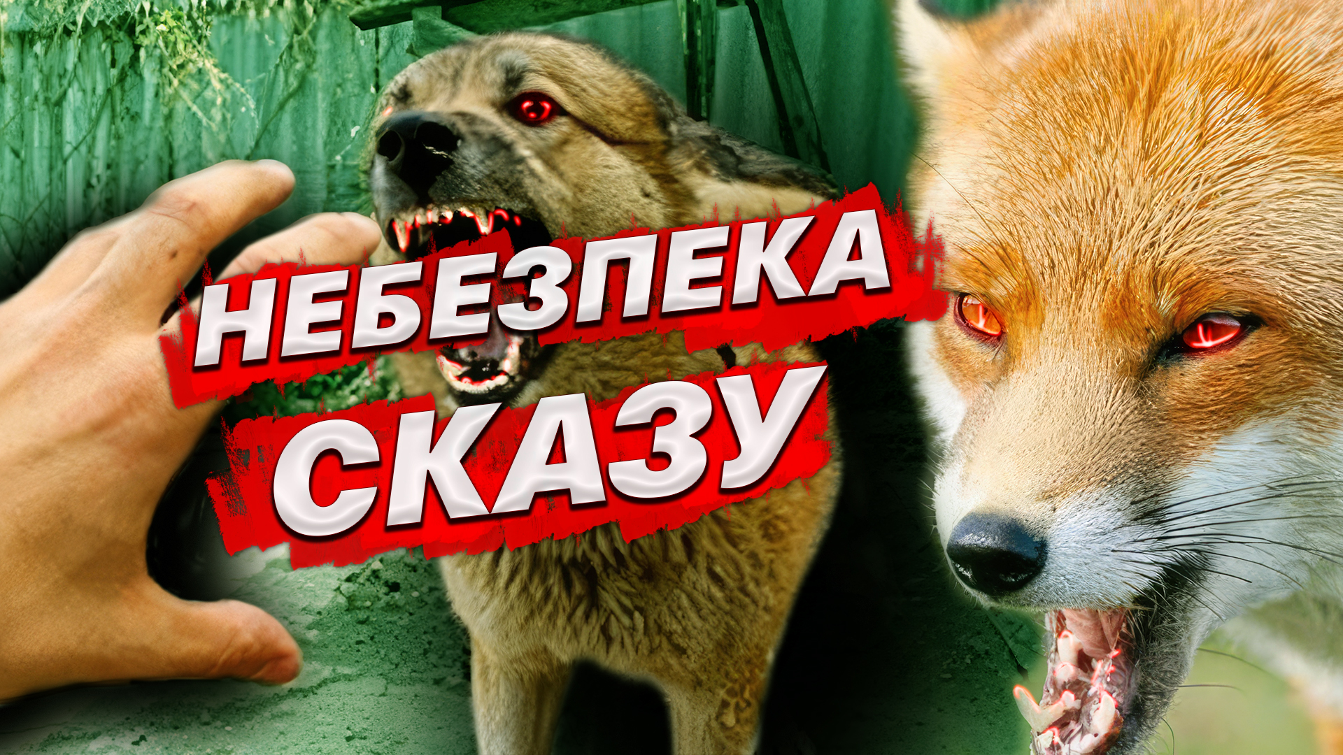 У Дніпропетровській області зафіксовано випадки сказу тварин