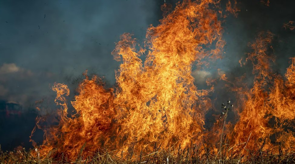 На Дніпропетровщині збережеться найвищий рівень пожежної небезпеки