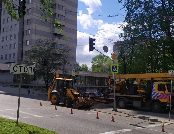 Безпечний Дніпро: у місті видаляють аварійні дерева за заявками громадян