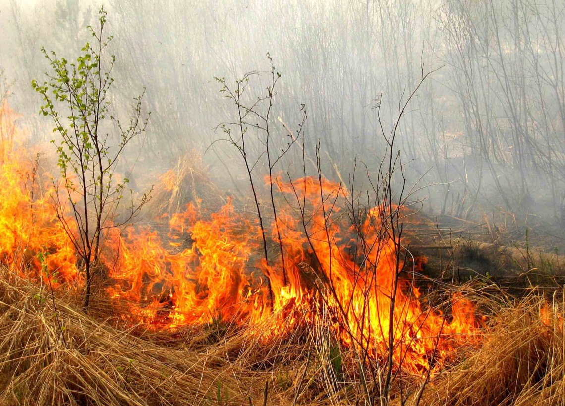 На Дніпропетровщині збережеться найвищий рівень пожежної небезпеки