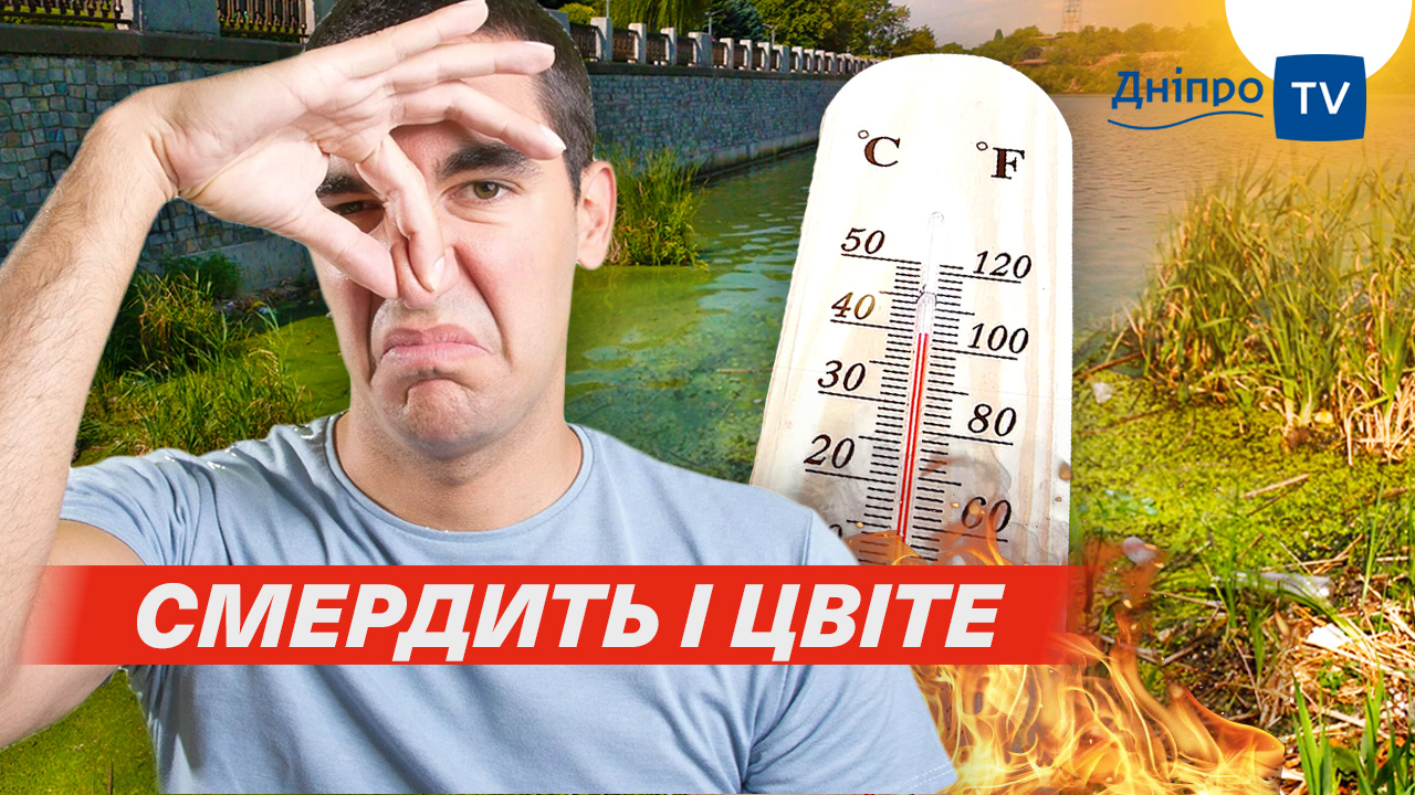 Температура води у річці б’є рекорди: спека перетворила Дніпро на зелене болото