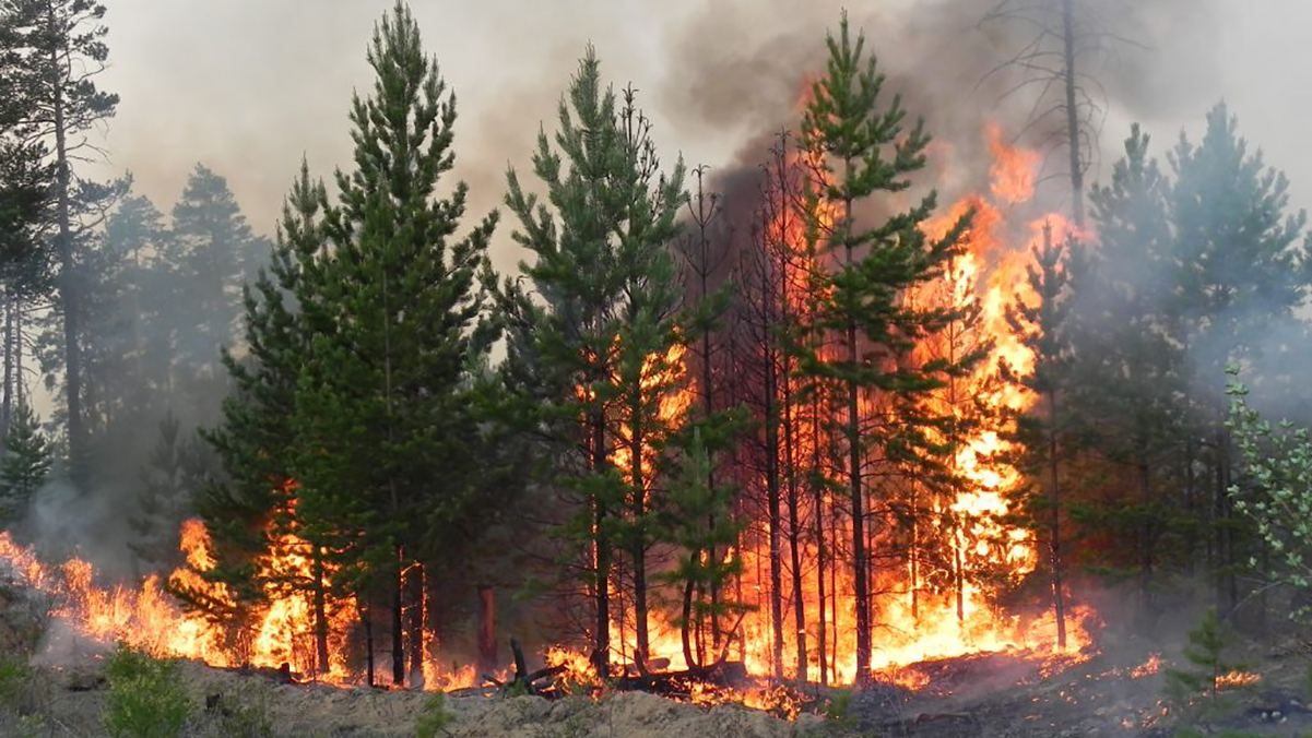 Надзвичайна пожежна небезпека оголошена у Дніпрі та області, — РЦГМ