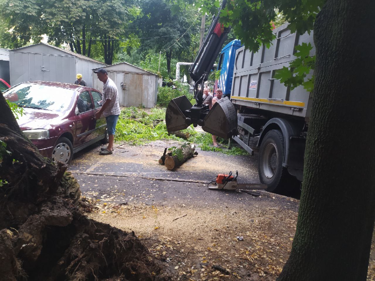 У Дніпрі прибирають повалені негодою дерева: Громадська рада інформує