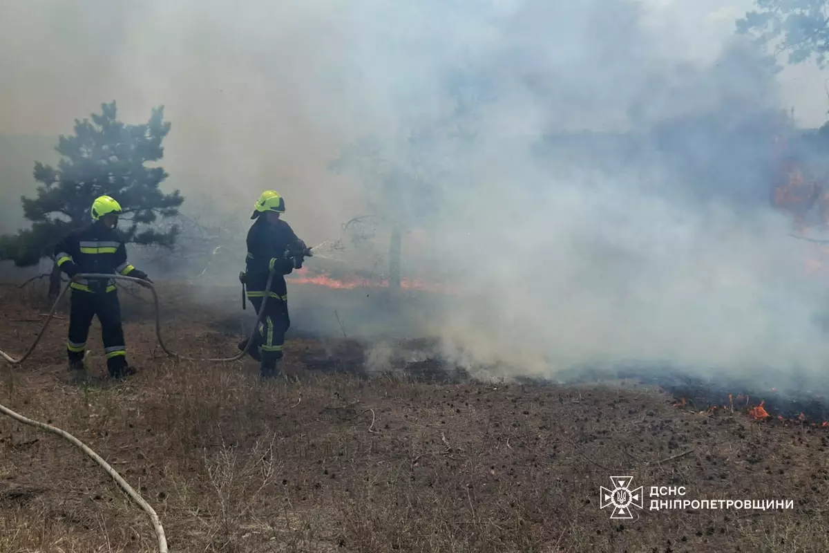 На Дніпропетровщині протягом доби ліквідовано 75 пожеж в екосистемах