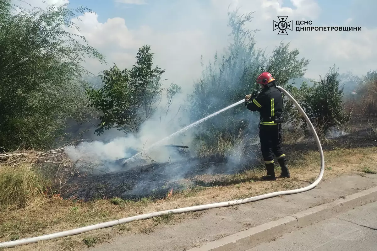 В екосистемах Дніпропетровщини не вщухають пожежі: за добу рятувальники загасили 41 займання