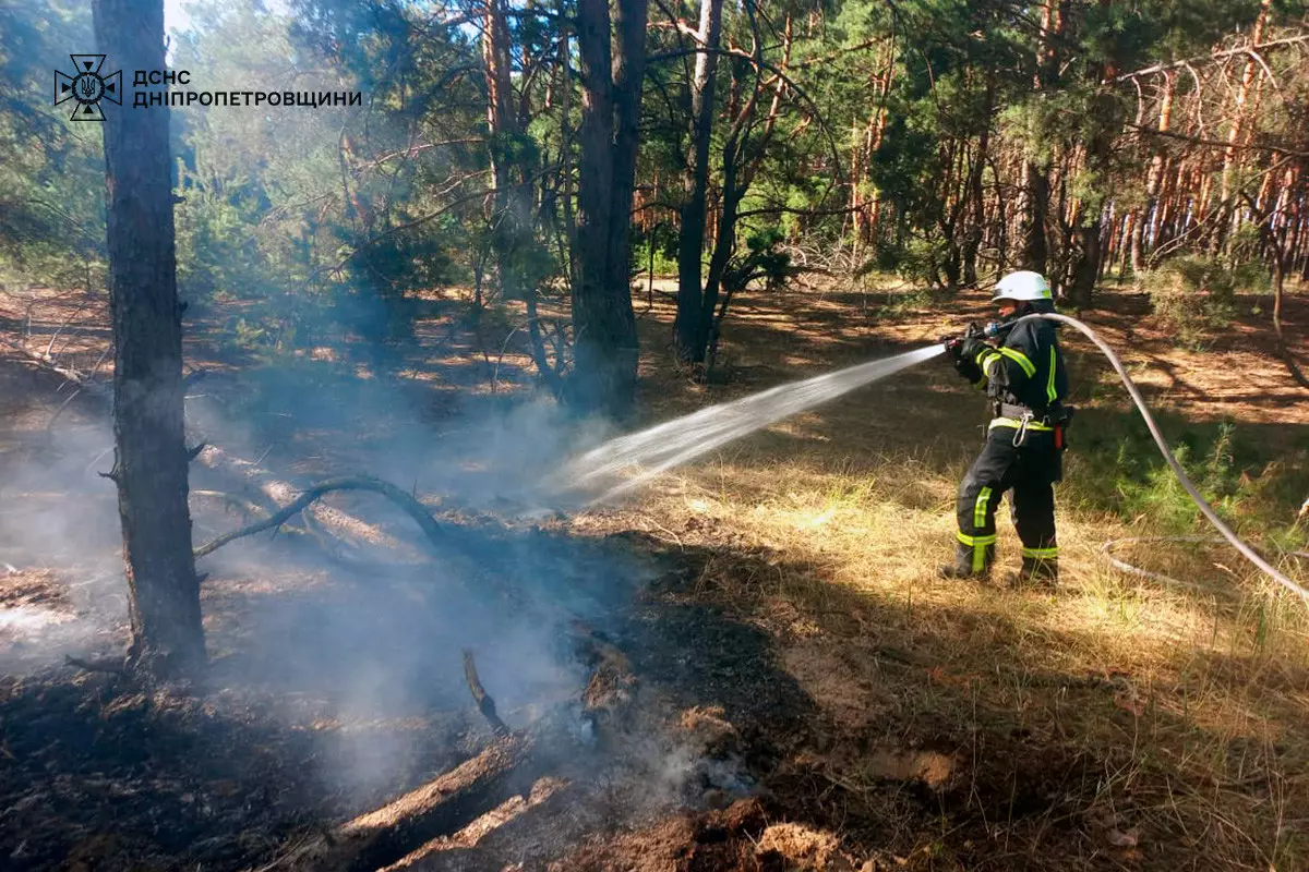 57 пожеж в екосистемах ліквідували вогнеборці Дніпропетровщини минулої доби