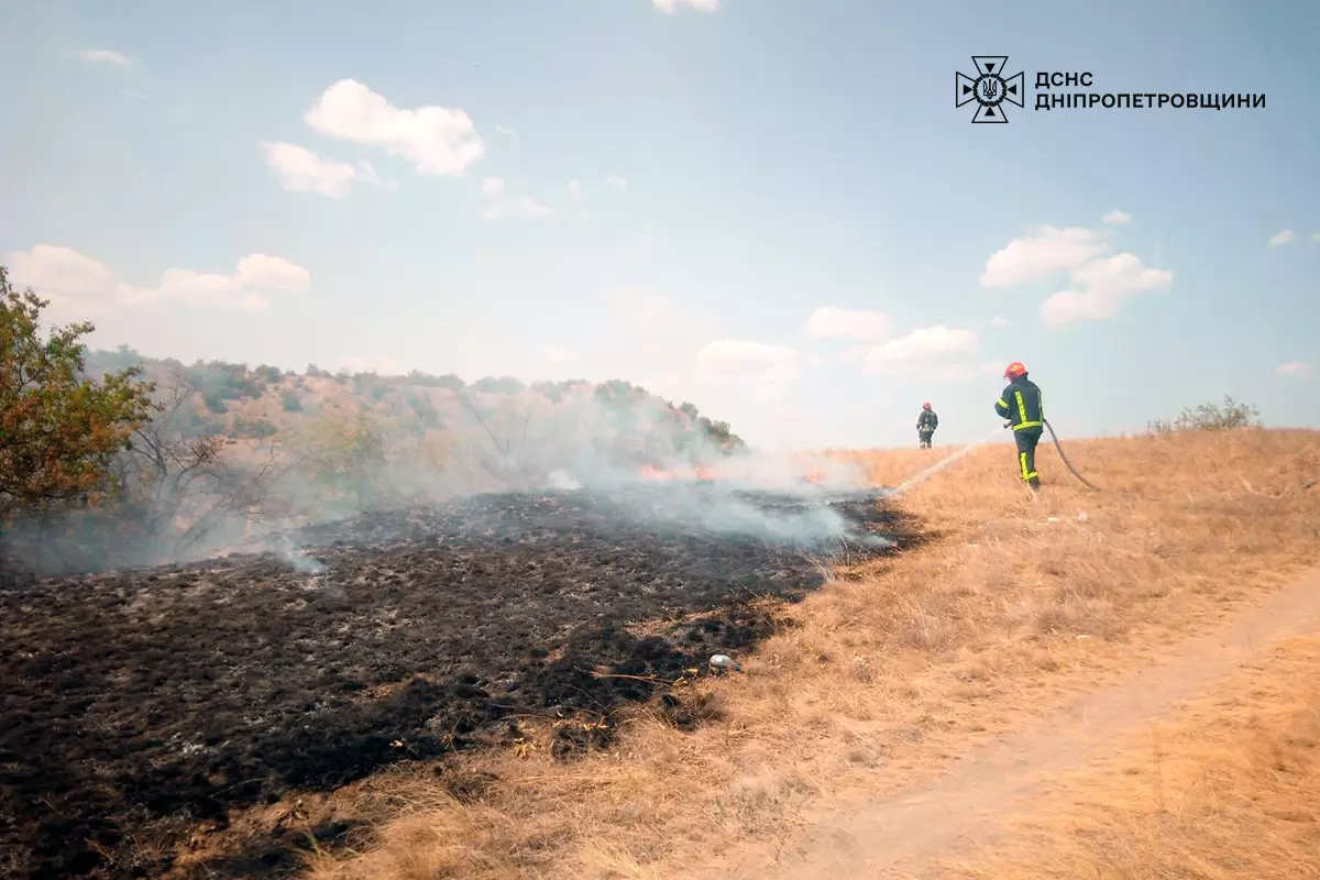 На Дніпропетровщині протягом доби вогонь знищив близько 52 га природних екосистем