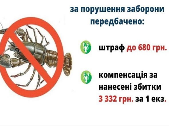 З 5 серпня на Дніпропетровщині встановлюється заборона на вилов раків