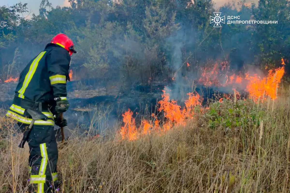 Знищено 73 гектари: вогнеборці загасили 73 пожежі на Дніпропетровщині