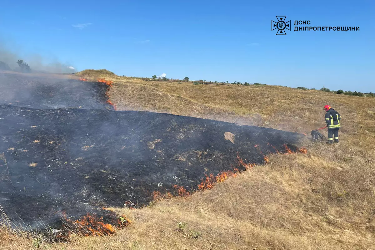 На Дніпропетровщині протягом доби вогонь знищив понад 43 га природних екосистем