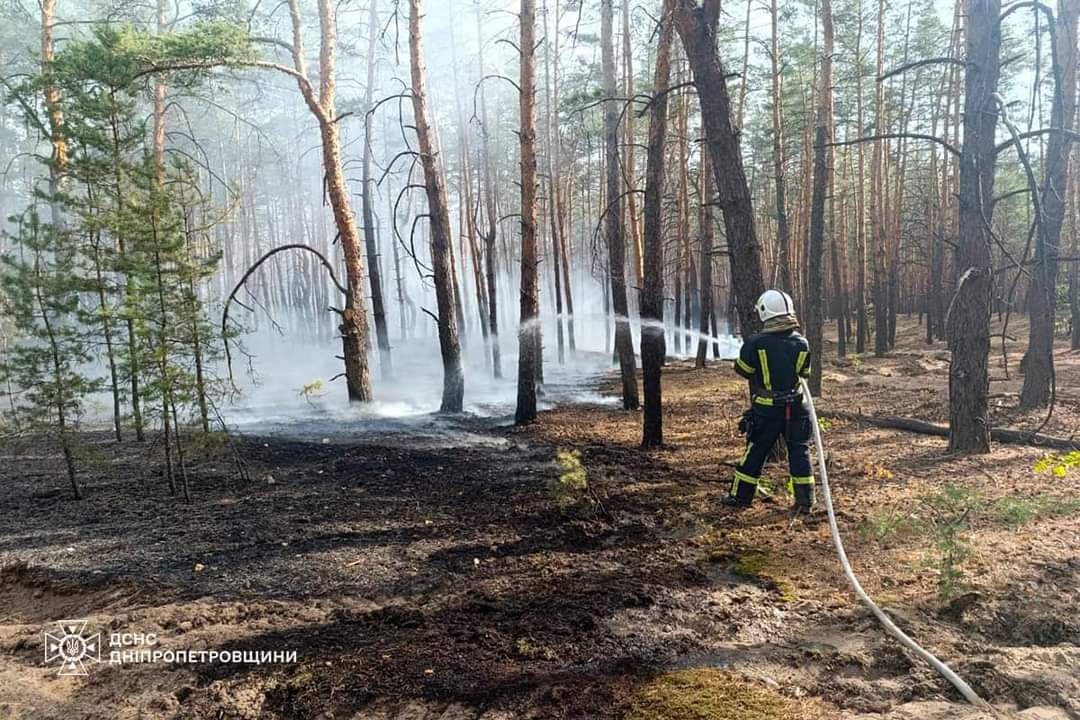 В Павлоградському районі горів ліс