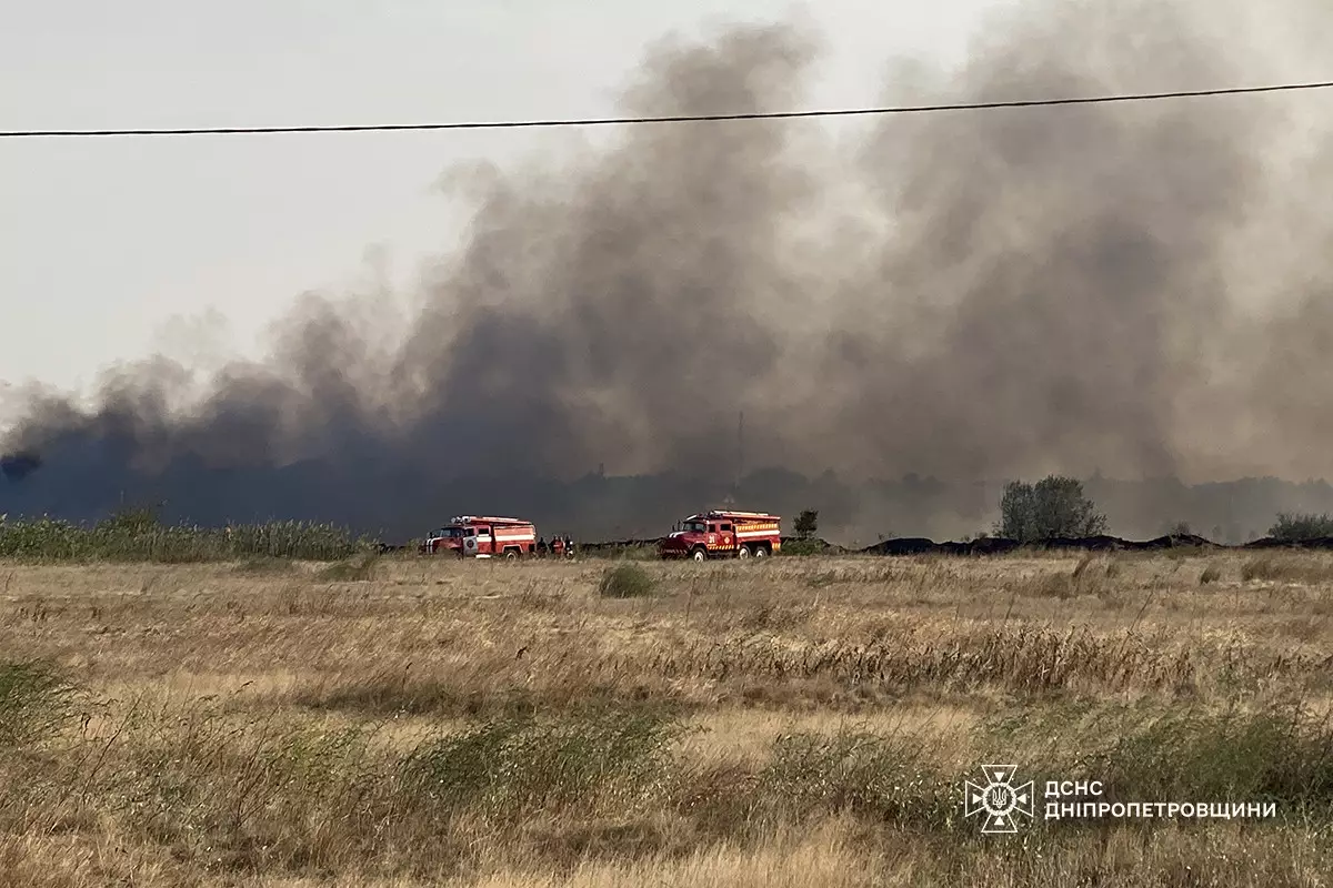 На Дніпропетровщині вогнем знищено 280 гектарів екосистем: внаслідок пожежі травмовано людину