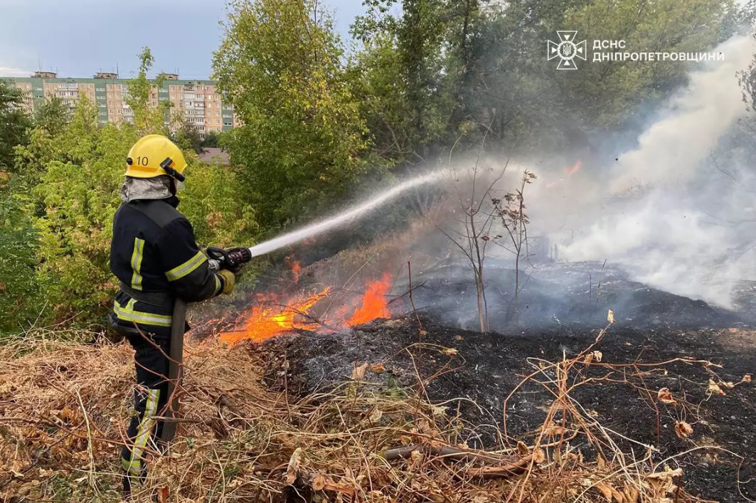 На Дніпропетровщині протягом доби вогонь знищив понад 20 га природних екосистем, — ДСНС