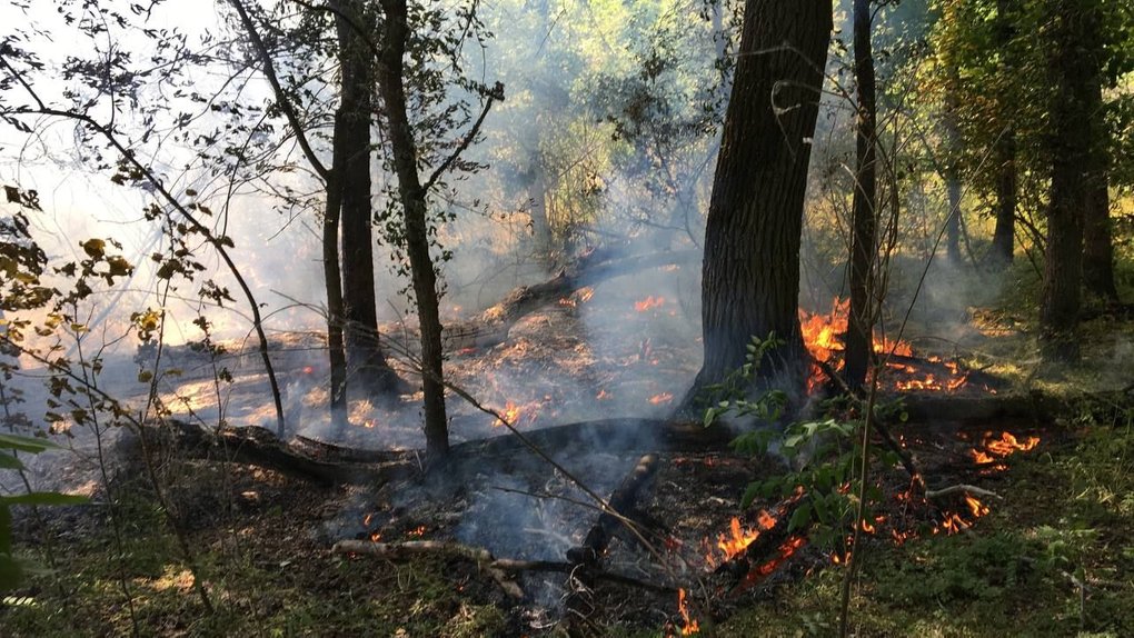 На Дніпропетровщині зберігається надзвичайна пожежна небезпека