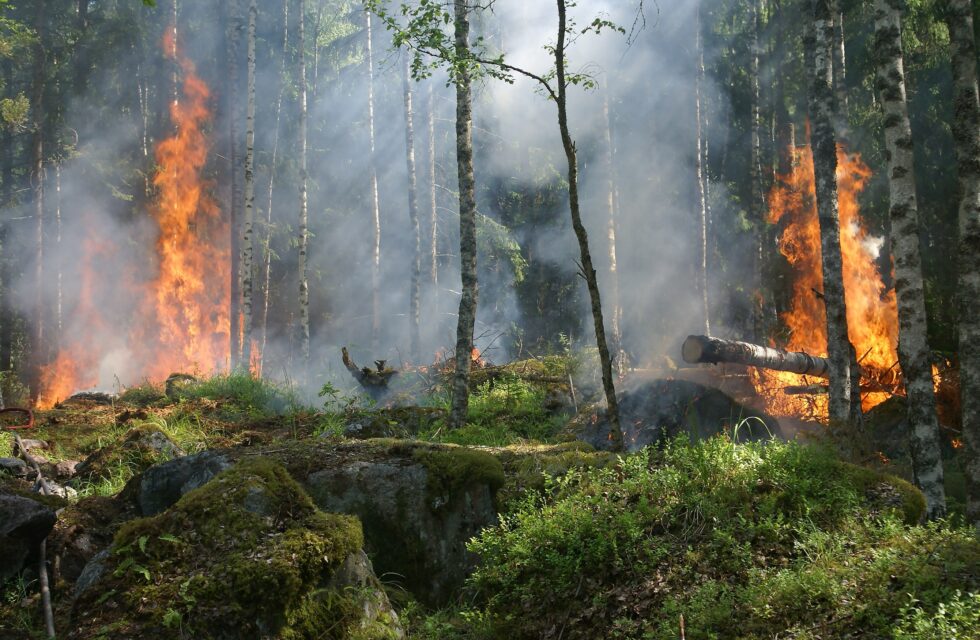 На Дніпропетровщині зберігається надзвичайна пожежна небезпека