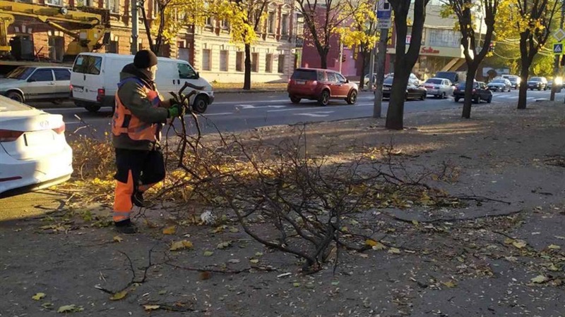 У Дніпрі продовжують ліквідовувати наслідки шквального вітру