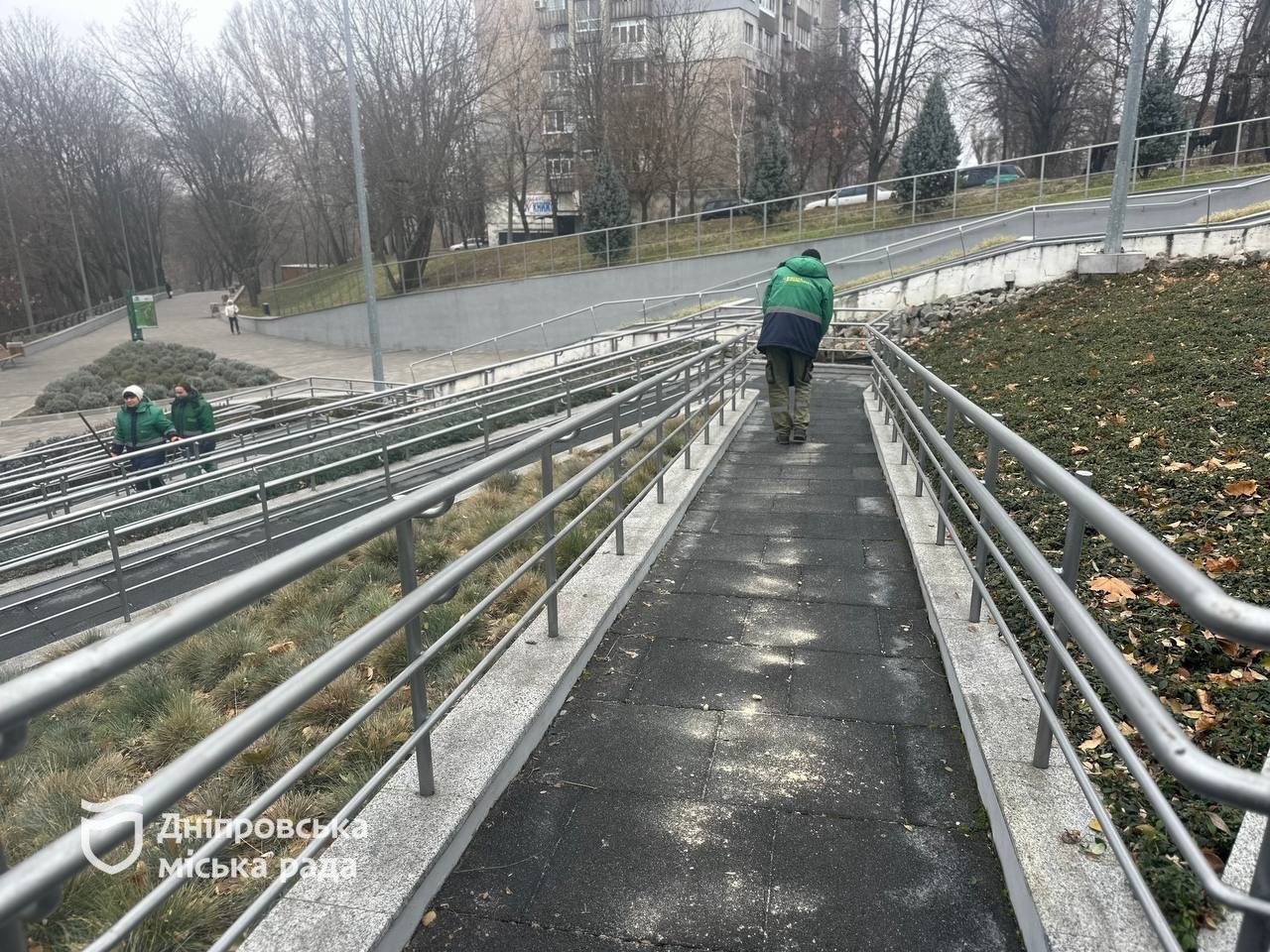 Довго цвітуть та стійкі до хвороб і шкідників. У Дніпрі в парку Зелений Гай висадили 100 кущів троянд