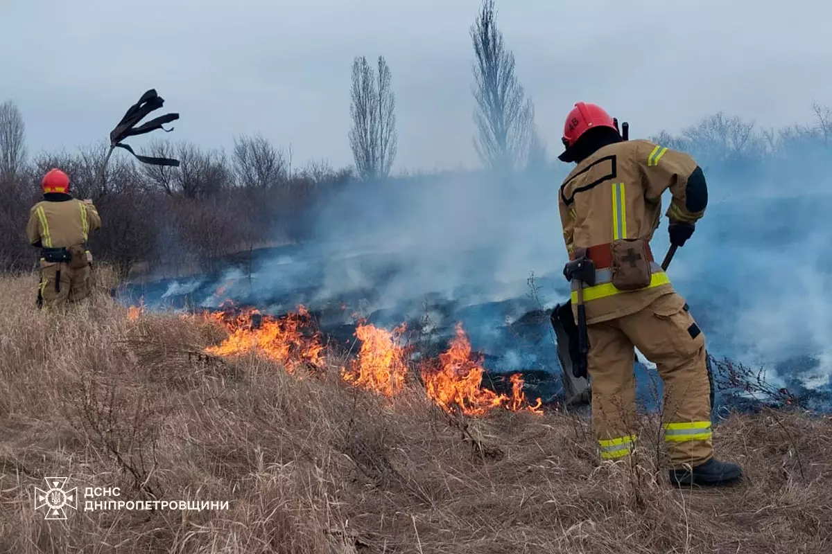 Дніпропетровщина “палає”: понад 66 га займань в екосистемах загасили рятувальники за минулу добу