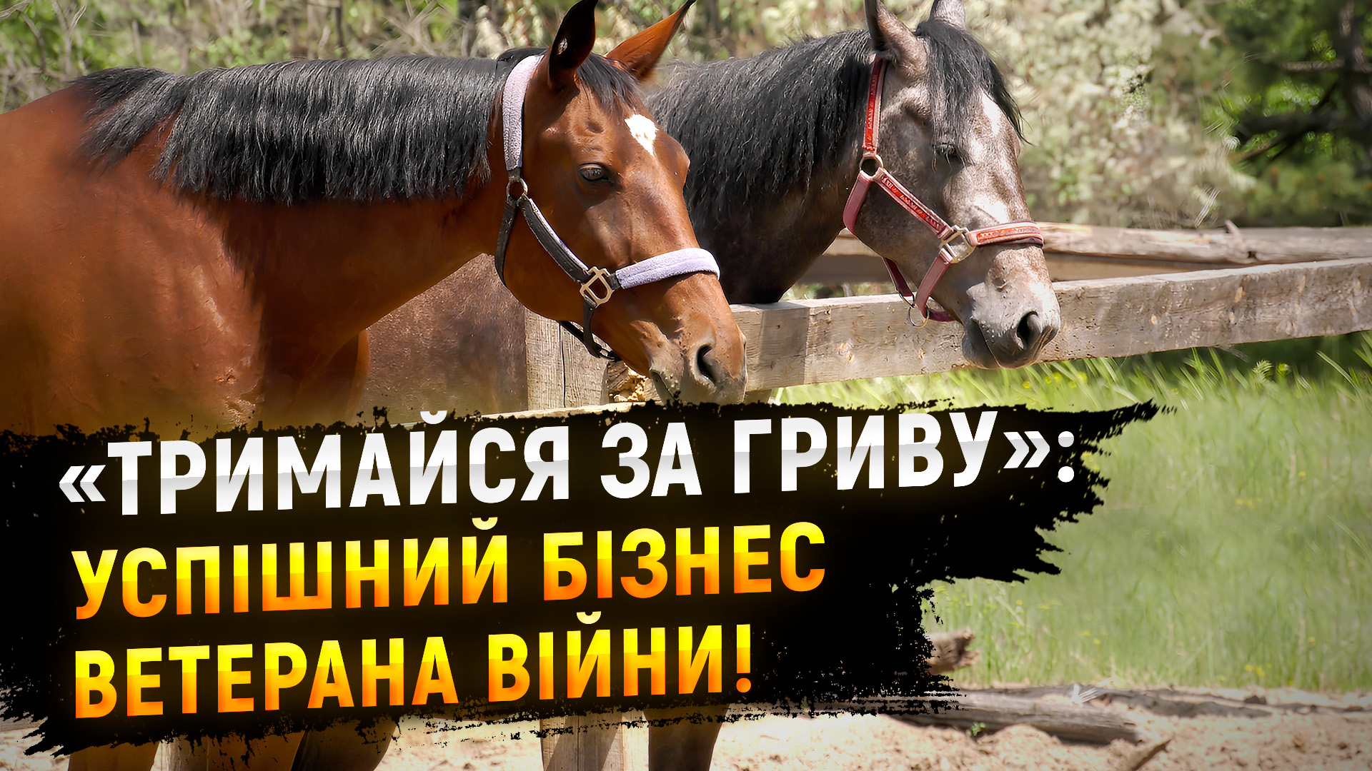 У Дніпрі захисник разом із дружиною завдяки гранту та міській програмі «Dnipro & Relocate» створили унікальний кінний клуб «Тримайся за гриву»