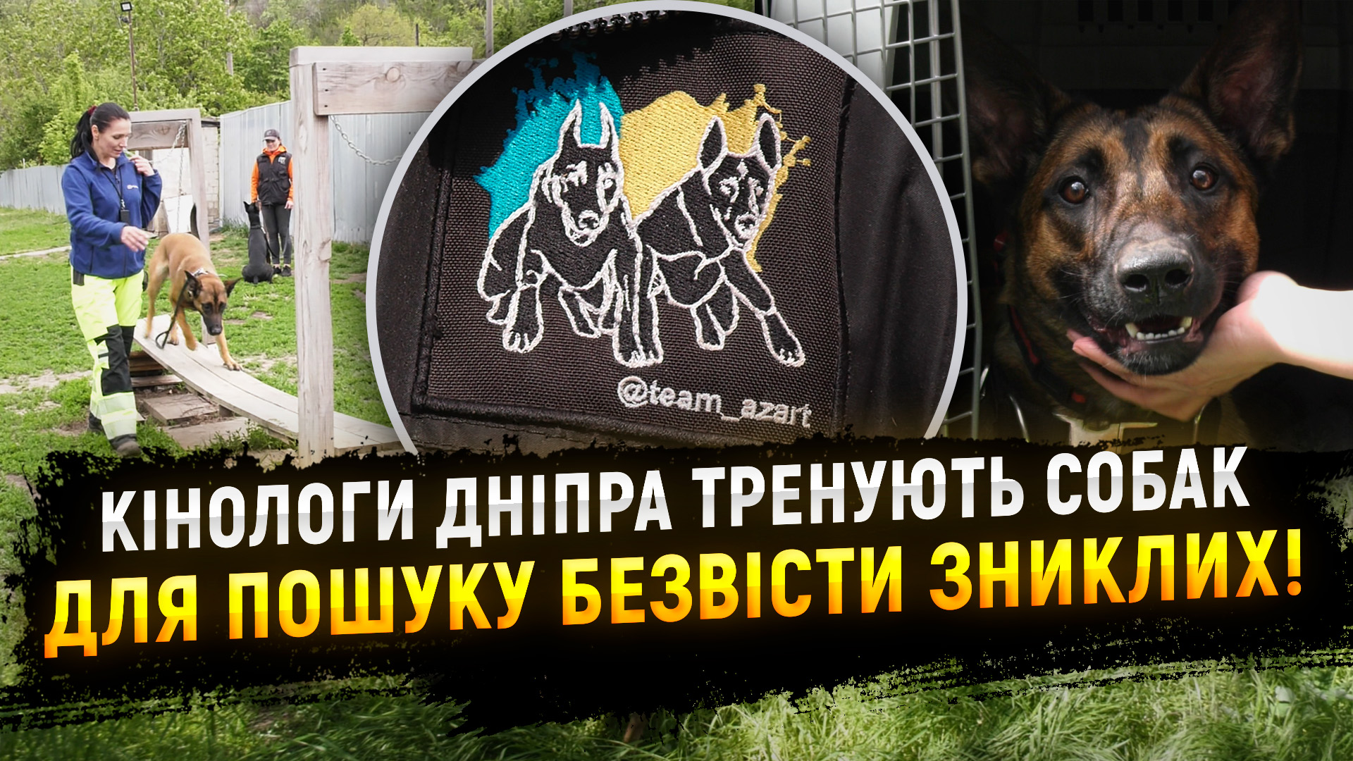 Як проходять тренування з пошуку людей кінологічного пошуково-рятувального загону «Команда Азарт»