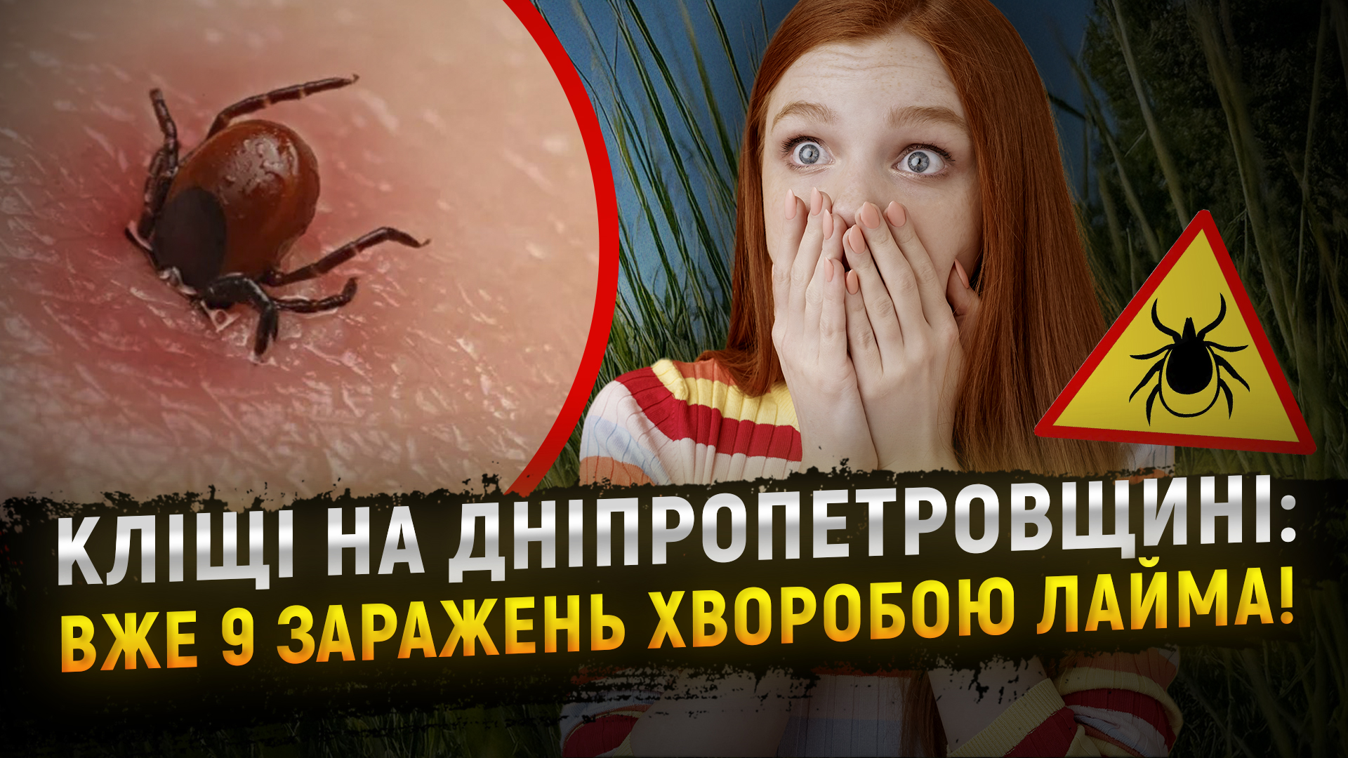 Кліщі атакують: що треба знати, щоб не захворіти?