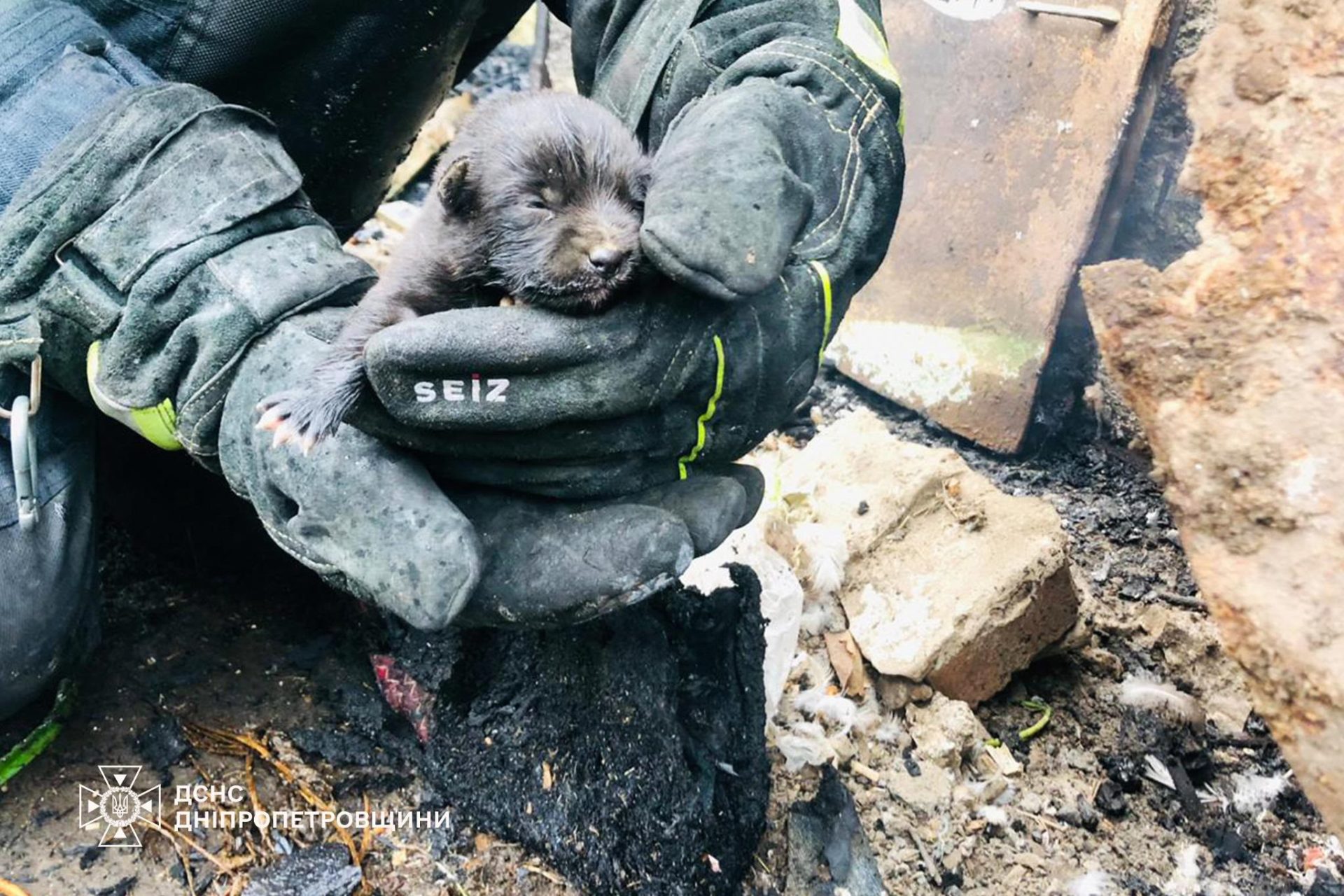 На Дніпропетровщині вогнеборці врятували цуценя з пожежі