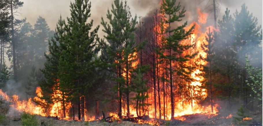 На Дніпропетровщині зберігається надзвичайна пожежна небезпека