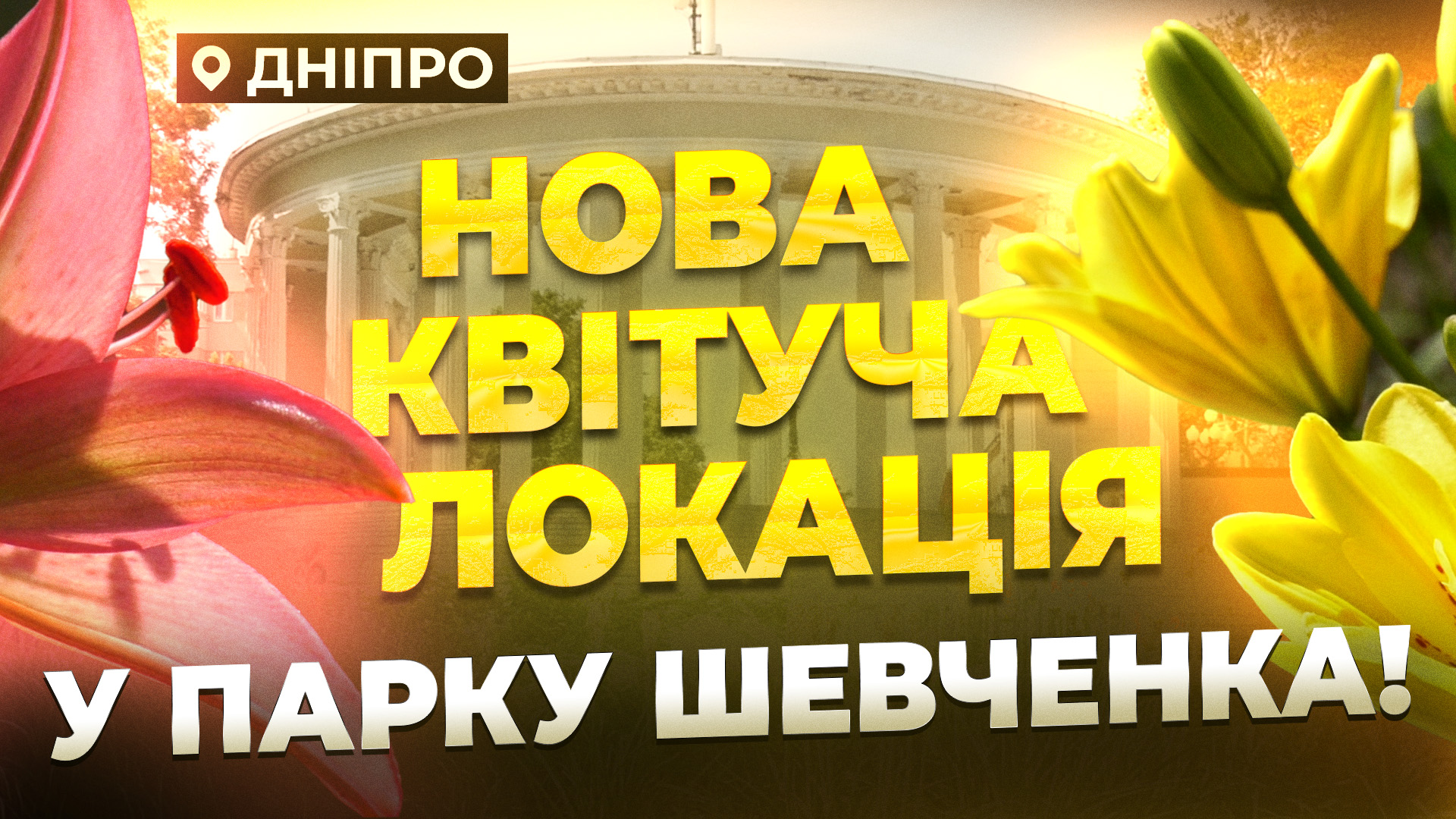 «Це унікально для Дніпра, адже це перша клумба з такою кількістю лілій та лілійників у поєднанні з іншими багаторічними рослинами», — представниця КП «Міська інфраструктура»