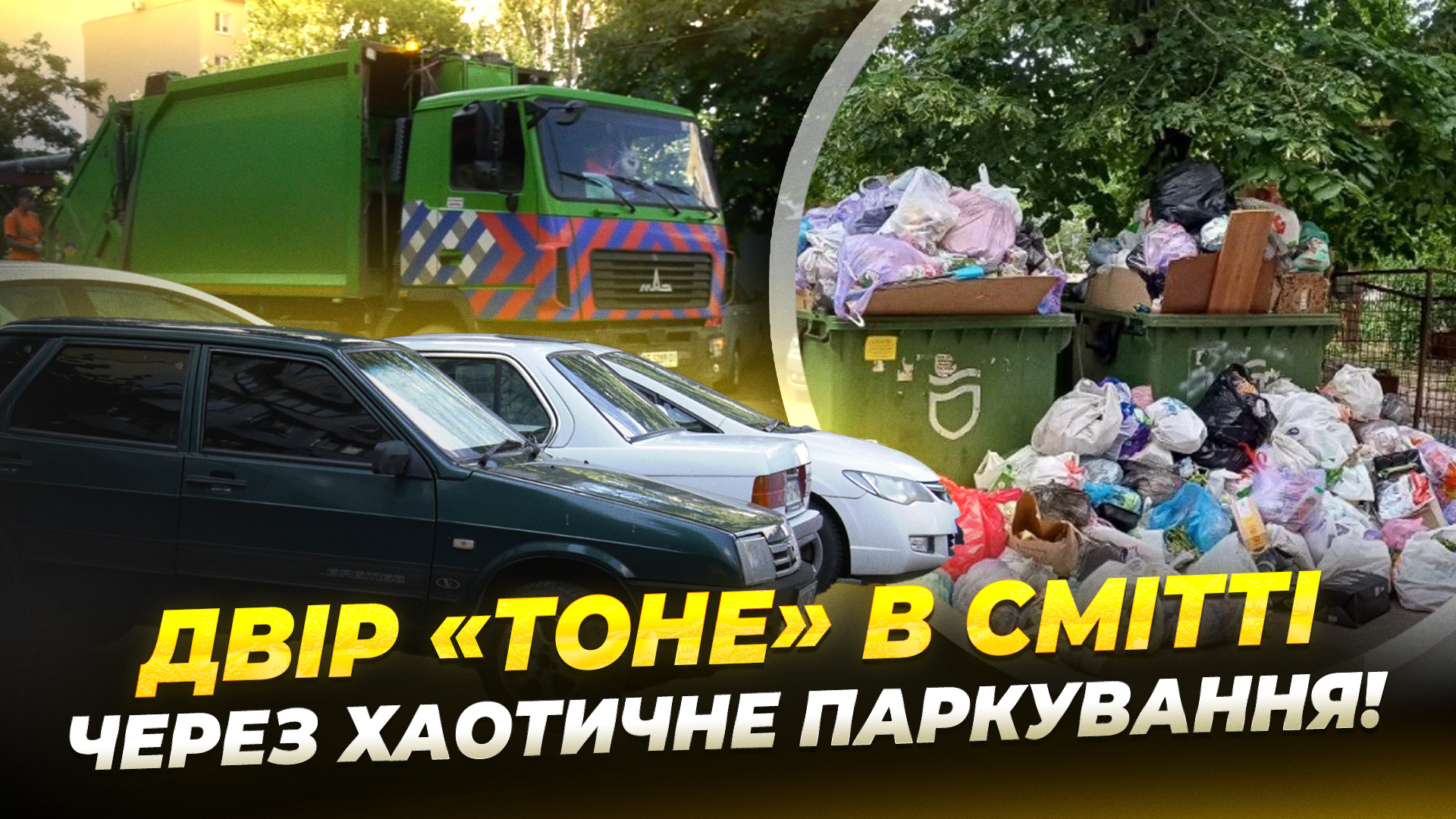 CЮЖ СМІТТЯ КОРІНЬ copy