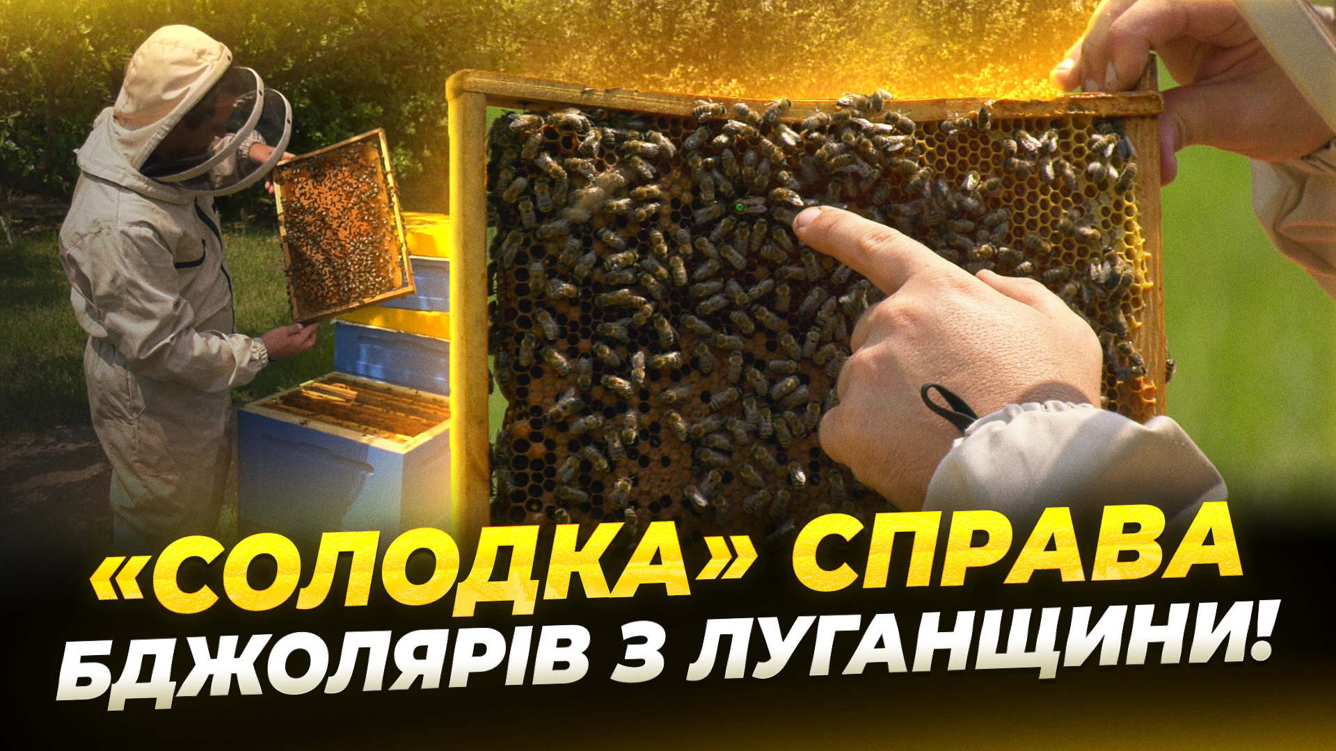 СЮЖ БДЖОЛИ ЛИСЕНКО copy