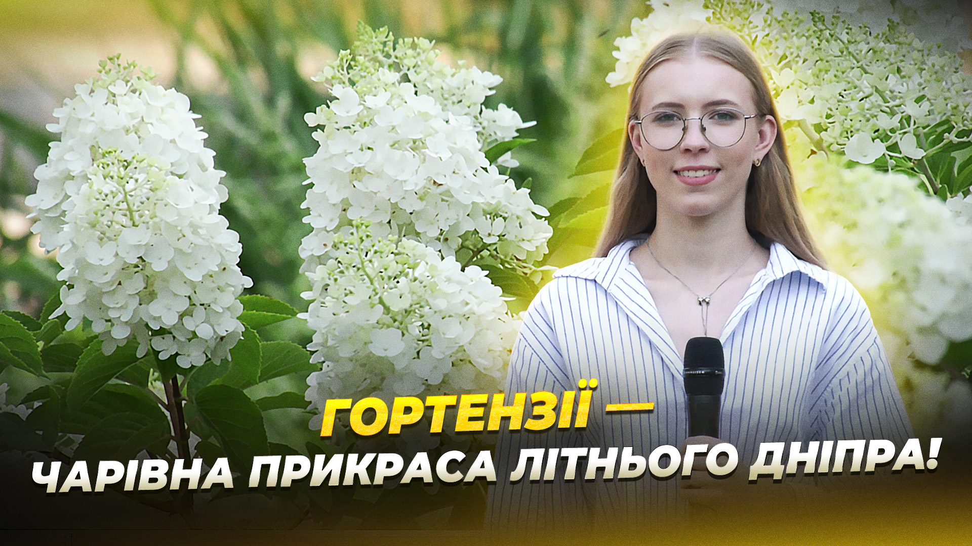 СЮЖ ГОРТЕНЗІЇ копія