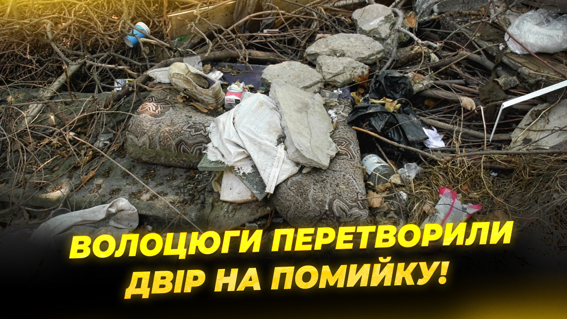 CЮЖ бомжи ЛИСЕНКО