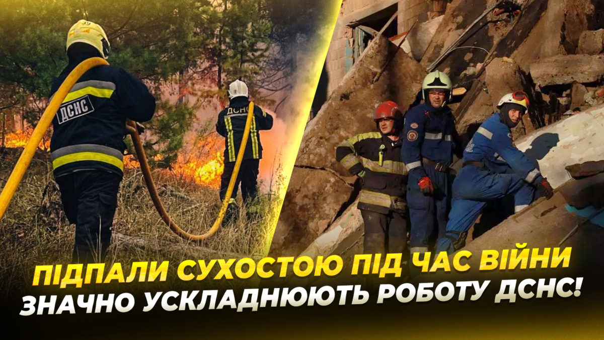CЮЖ ПОЖЕЖА ЛИСЕНКО