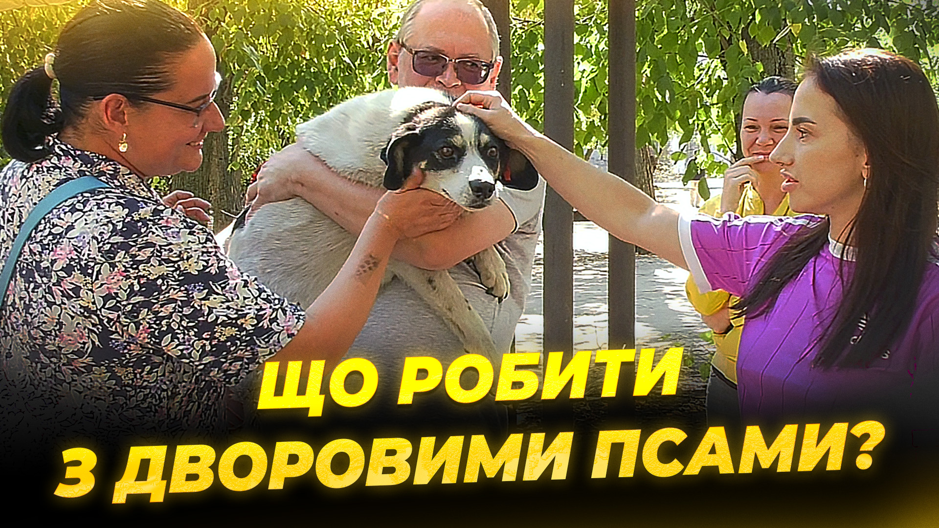CЮЖ СКАЖЕНІ СОБАКИ без логоЛИСЕНКО копия