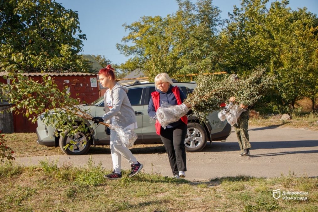 Толока у Новокодацькому районі Дніпра.