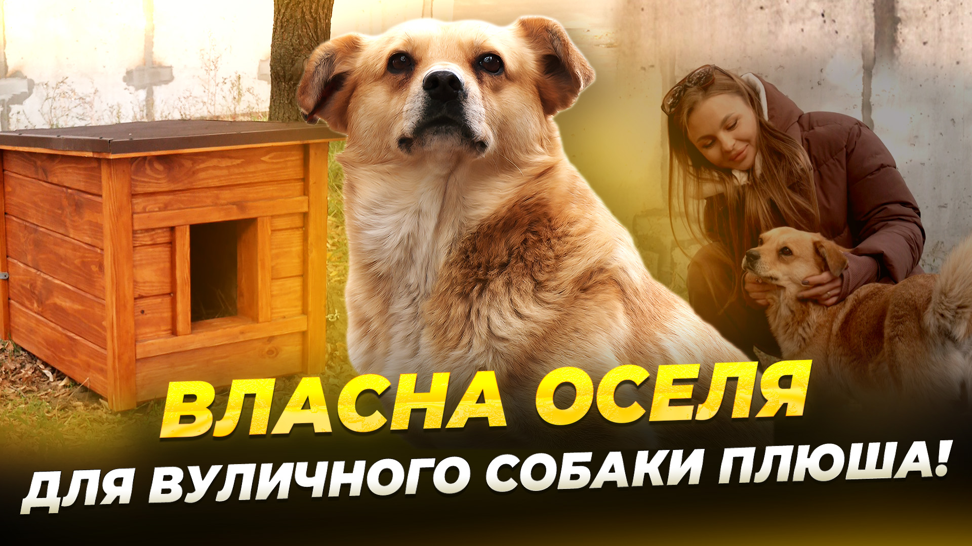 Небайдужі мешканці Дніпра збудували домівку для покинутого песика - 16.10.2025