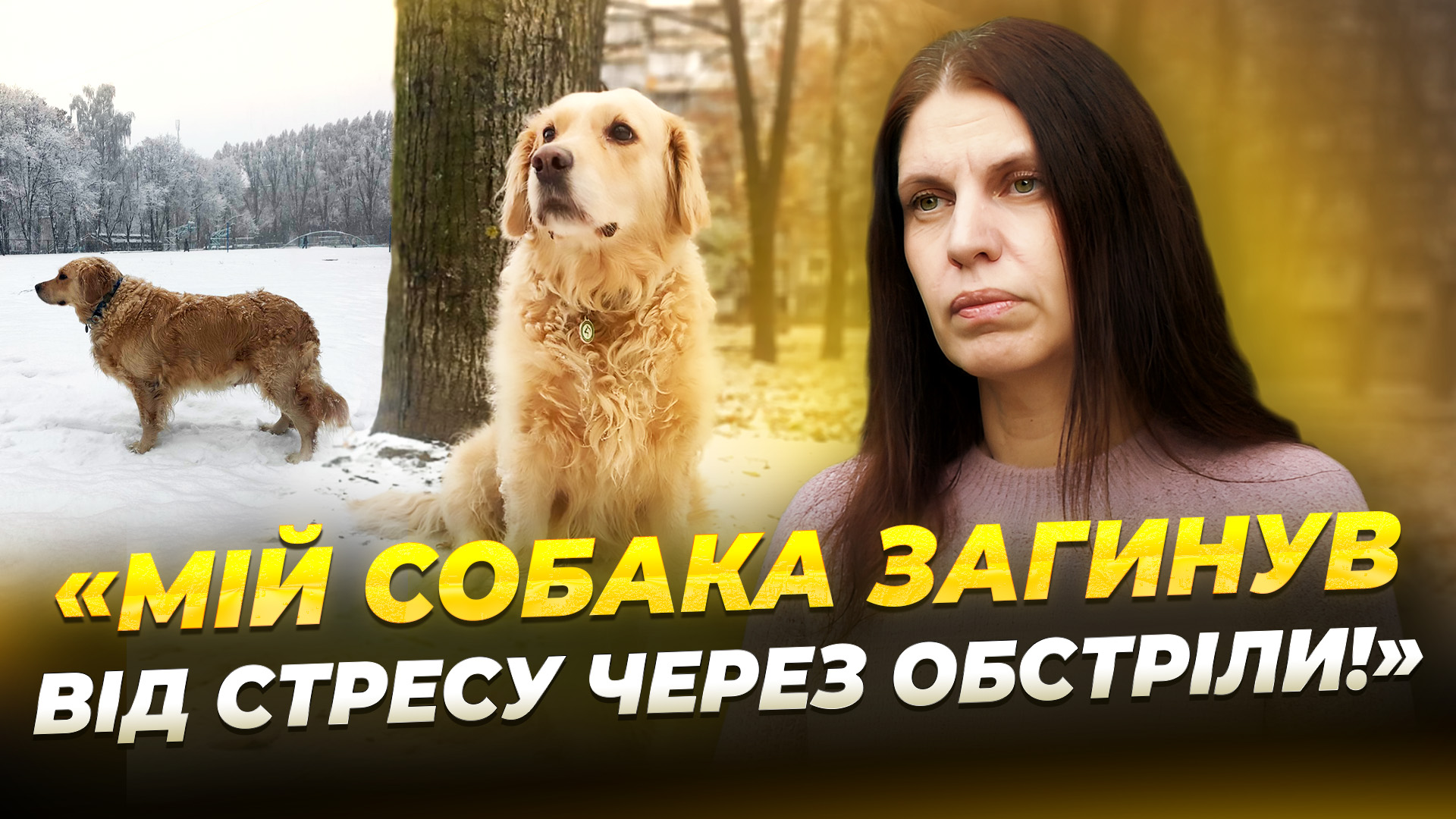 Як вберегти тварину від ворожих обстрілів?!