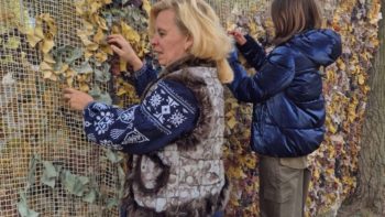 Свято кулішу в Дніпрі: українські традиції 14.10.2025