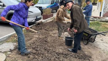 #Дніпро_квітучий: озеленення подвір'їв і дворів 18.10.2025