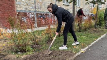#Дніпро_квітучий: озеленення подвір'їв і дворів 18.10.2025