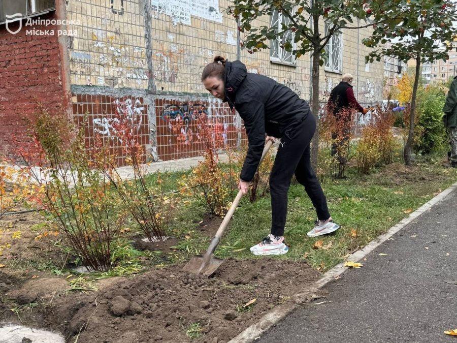 #Дніпро_квітучий: озеленення подвір'їв і дворів 18.10.2025