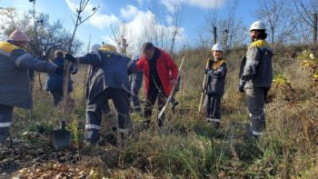 #Дніпро_квітучий - акція з озеленення: висадили 300 кленів 31.10.2025