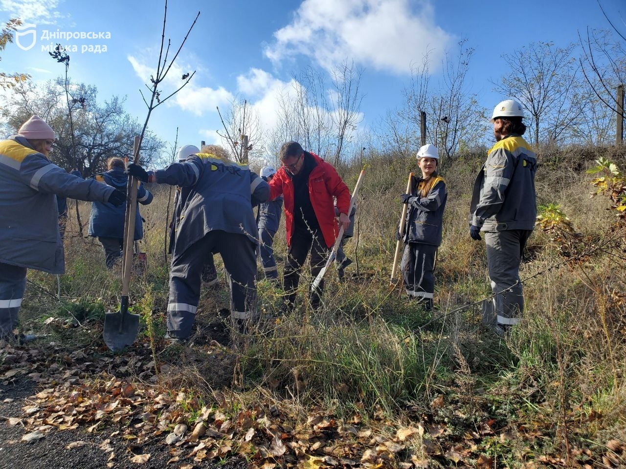 300 кленів для Дніпра: нова зелена хвиля в межах акції #Дніпро_квітучий