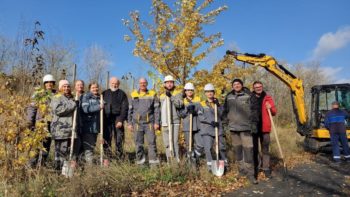 #Дніпро_квітучий - акція з озеленення: висадили 300 кленів 31.10.2025