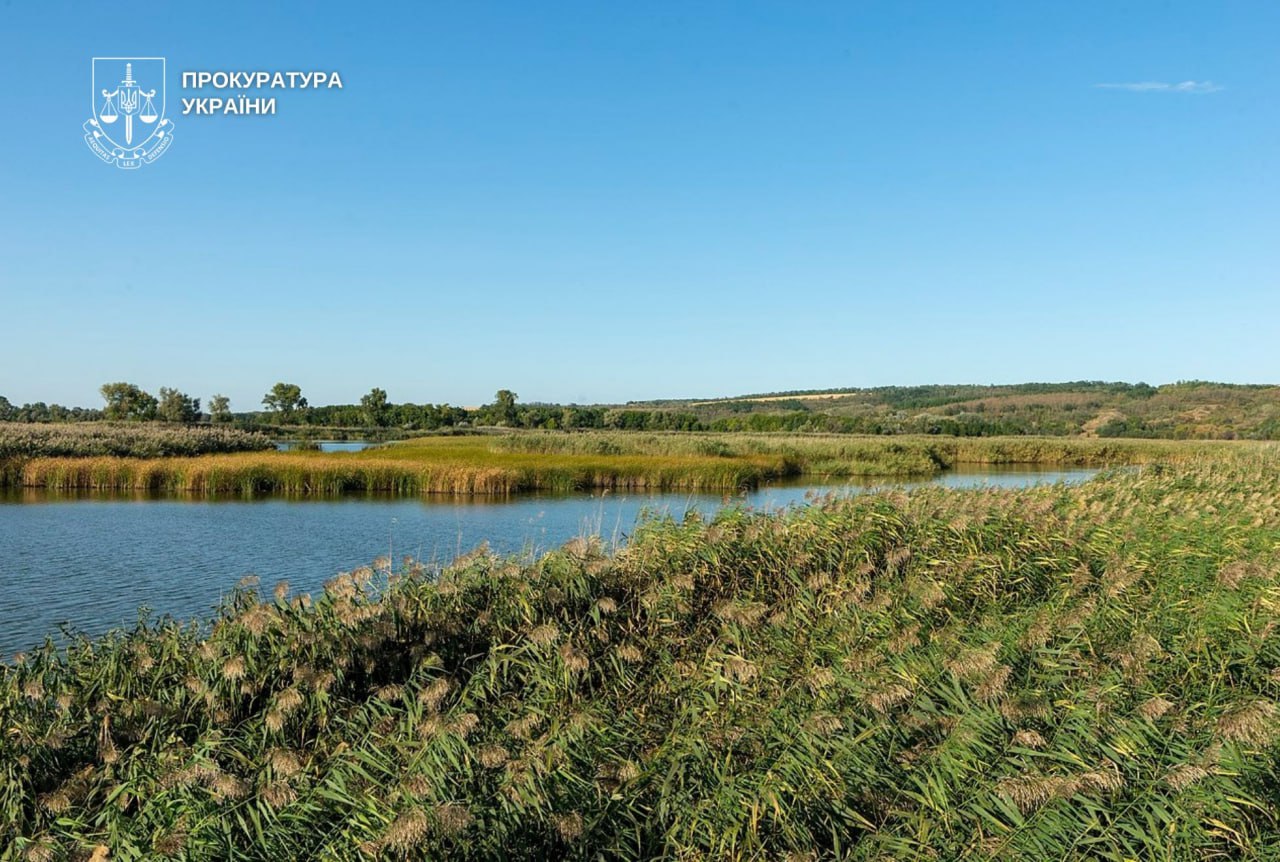 На Дніпропетровщині незаконно вирубали дерева у природоохоронній зоні 31.10.2025
