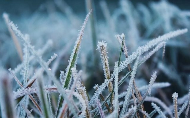Заморозки до -5° очікується на Дніпропетровщині сьогодні вночі та на ранок