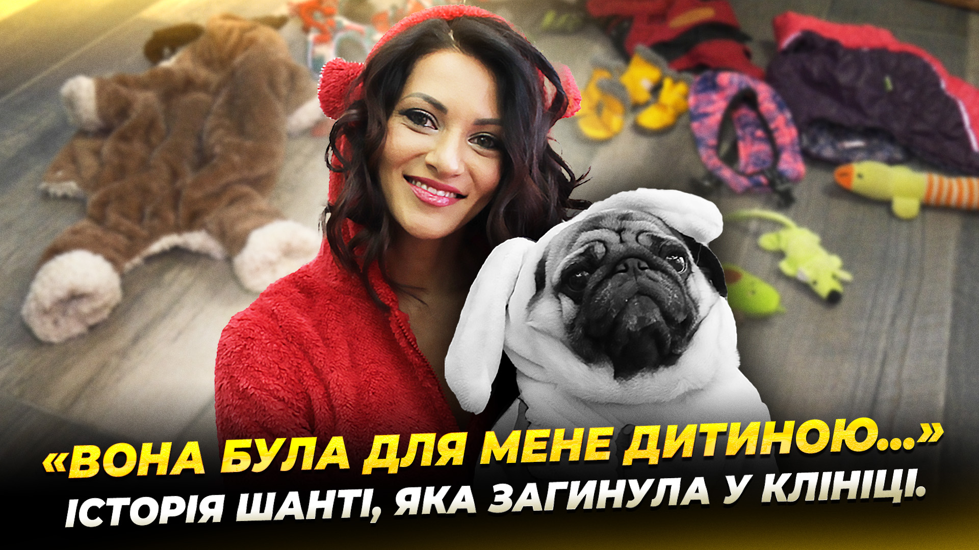 Загинув собака дніпрянка звинувачує ветклініку 28 10 2025