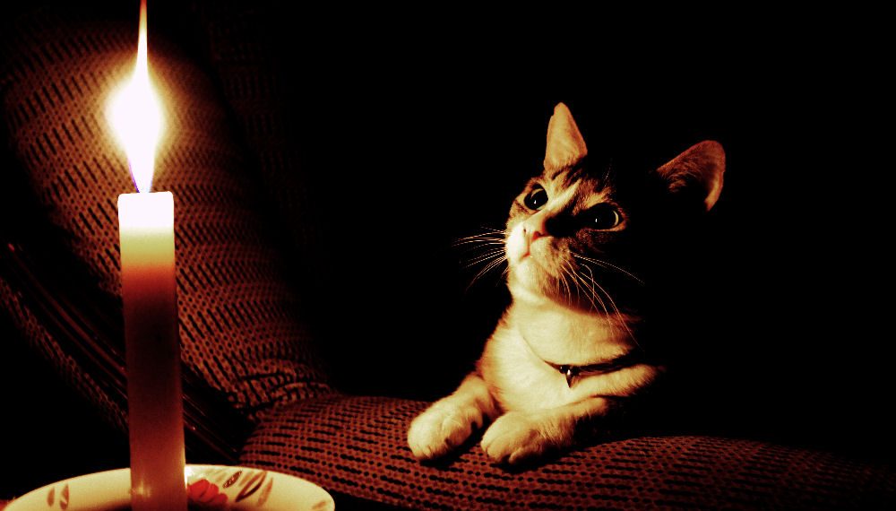 Графіки відключень світла ДТЕК у Дніпрі на 16 листопада 2025